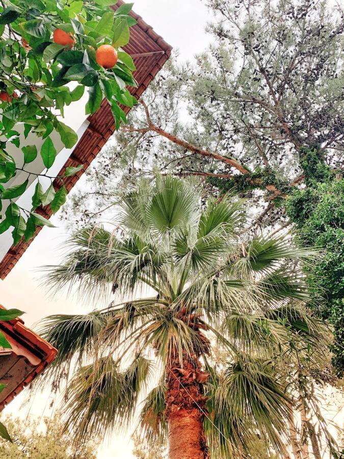 Hotel Villa Anais (Adults Only) Prinos  Bagian luar foto